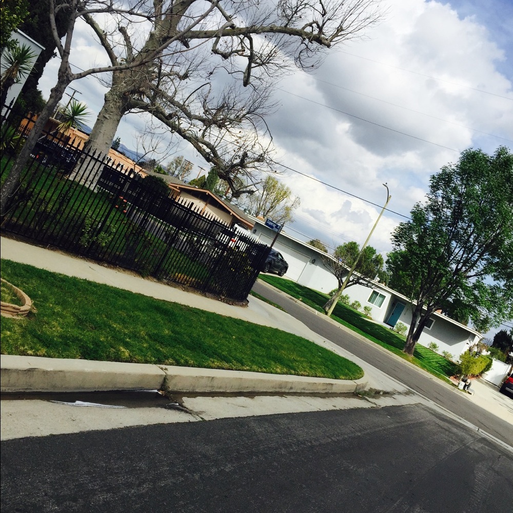 Meet your Posher, Bernadette